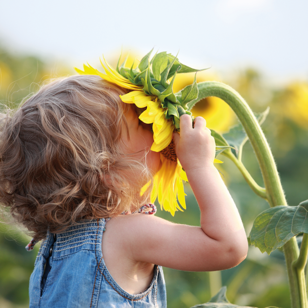 enfant qui joue avec tournesol